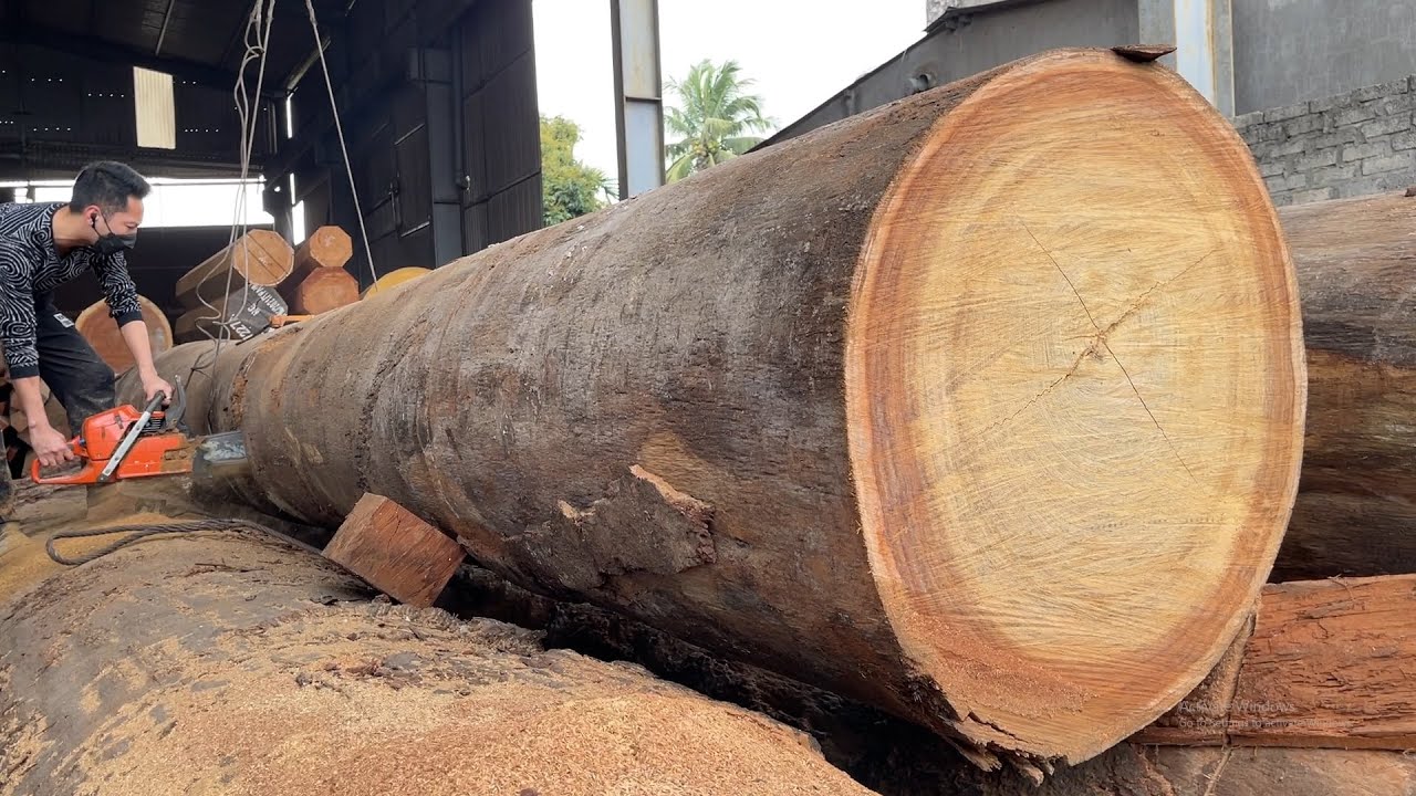 Amazing Raw Wood Sawmill - Great Skill Wood Sawmill Machine Working In ...