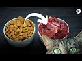 How to transition your cat from kibble  the bk pets homemade cat food diet guide