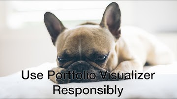 Use Portfolio Visualizer Responsibly