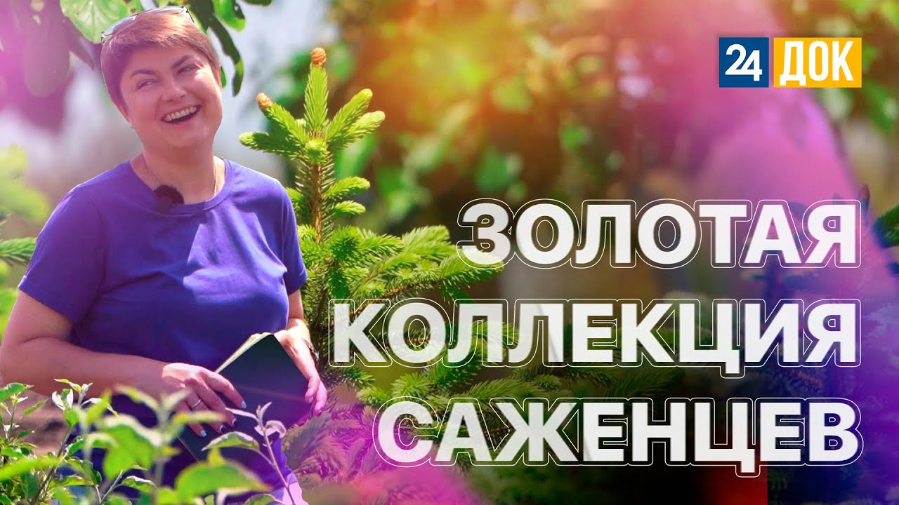 В ст. Октябрьской выращивают яблони из лондонского королевского сада