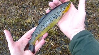 I Can Mix With The Best Of Them.