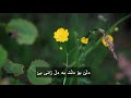 سروودی کوردی عرفانی یارسواللە گیانم بەفیداتت