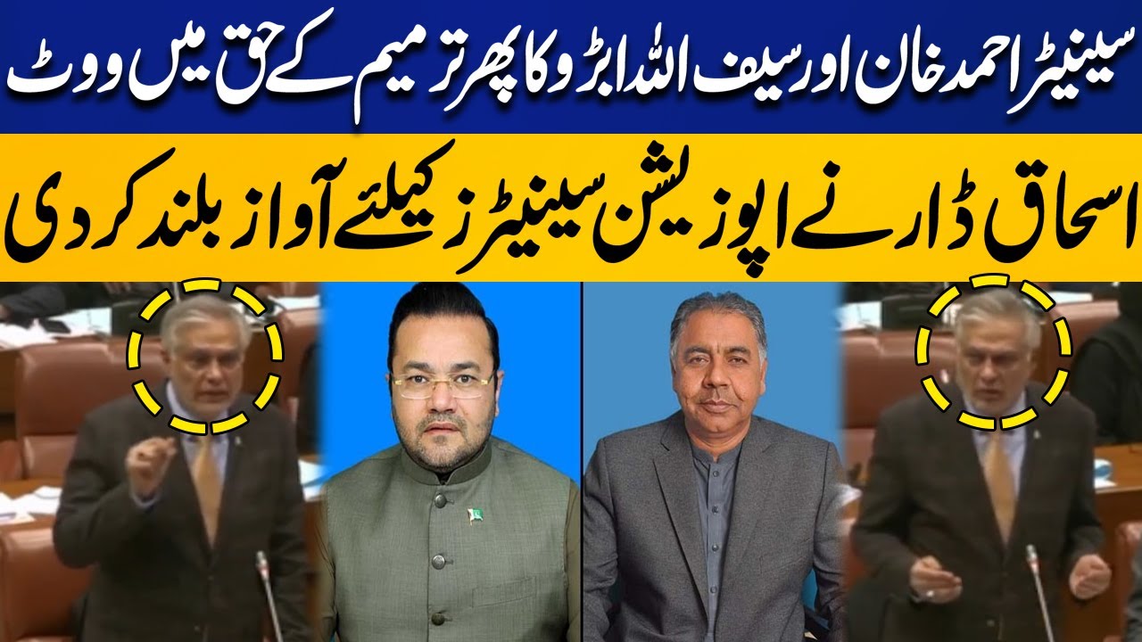 Senator Ahmed Khan & Saifullah Abro Vote for Amendments! | Ishaq Dar Raises Voice for Senators