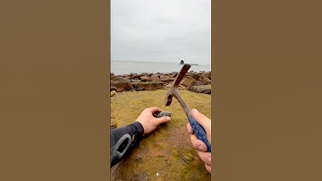 Here’s a huge stone filled with tiny Jurassic shell fossils that we found on a recent fossil hunt.