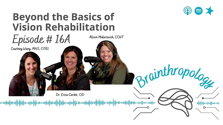 Beyond the Basics of Vision Rehabilitation | Brain...