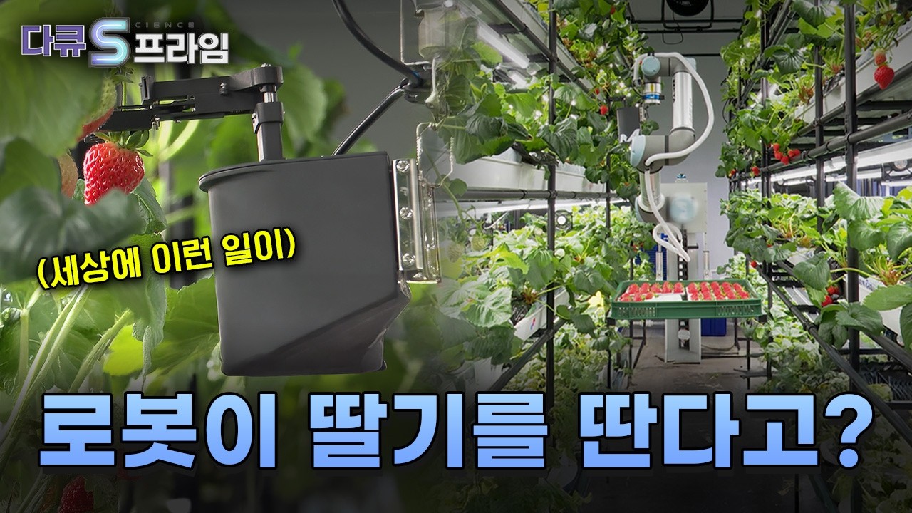 [다큐S프라임] 스마트 팜, 스마트 라이프