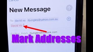 What is Mark Addresses in Mail App and How to Use It on iPhone 11 Pro IOS 13 screenshot 3