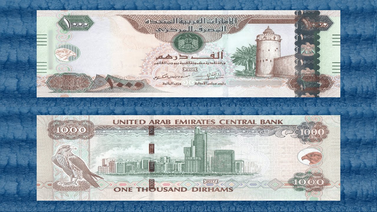🇦🇪 2006-2017 1000 AED United Arab Emirates Dirhams Standard Circulation Banknote