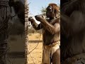 hUman Evolution