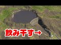 下水を市民が飲み干せば水質汚染は完全になくなる説【Cities:Skylines / シティーズスカイライン】