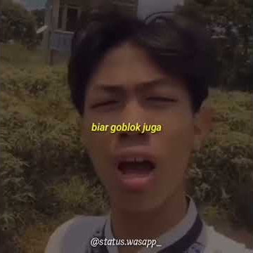 story wa keren 30 detik jangan lupa sholat tolol