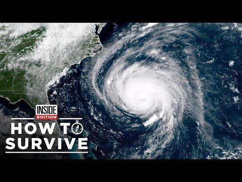 How To Survive A Hurricane