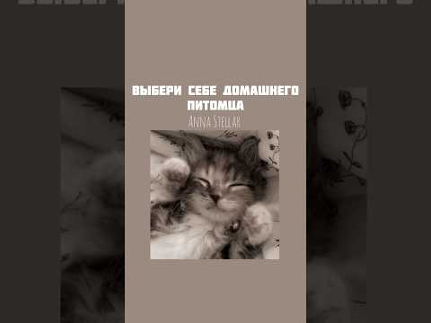 Ребята, я вернулась!!