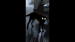when the dog gets tired of ur sh!t
