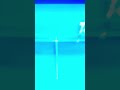 special shorts Comedy skit 16 #comedy #tennis take 2