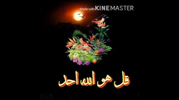 اجمل حالة واتس دينيه 💚للشيخ ماهر المعيقلي❤️تلاوه قرانيه جميله سورة الاخلاص 💗🍃،،