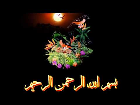 اجمل حالة واتس دينيه للشيخ ماهر المعيقلي تلاوه قرانيه جميله سورة الاخلاص 