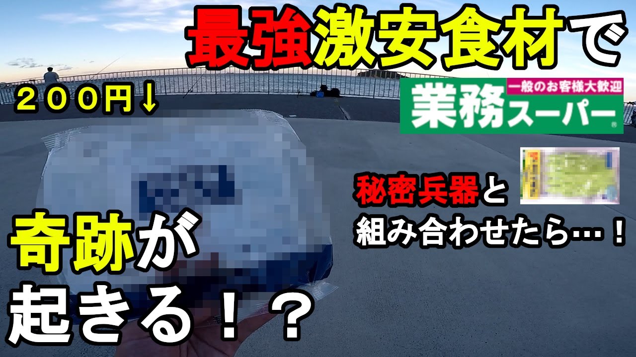【神奈川県某所】業務スーパーの最強激安食材で奇跡が起きる！？真夏の夏休み期間に、関東地方にある三浦半島の東京湾側に面した釣り場で、200円の激安の釣り餌を使って釣りしてみたら…！【2023年8月下旬】