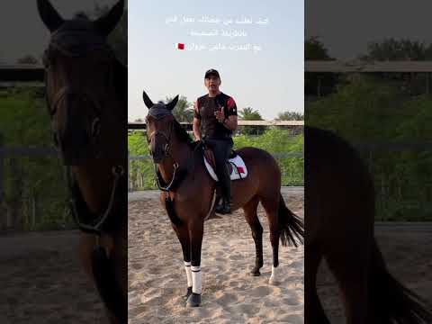 كيف تطلب من حصانك ان يطلع كنتر بالطريقة الصحيحة مع المدرب سامي غزوان