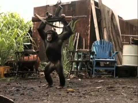 Ape with an AK-47!!! (gun)