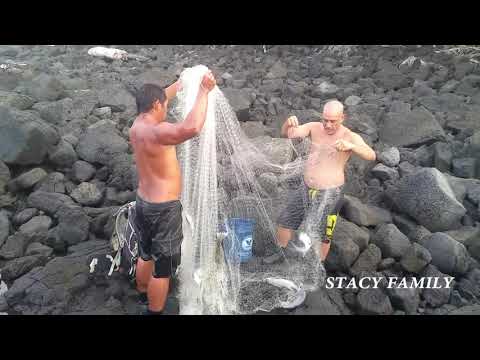 Video: 8 Tecken På Att Du Fortfarande är Turist På Hawaii - Matador Network