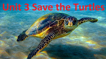 Unit 3 Save the Turtles - listening english practice