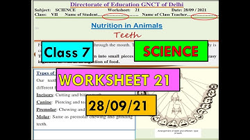 class 7th science worksheet 21 | 28/9/21 | class 7th worksheet 21 science | science class7