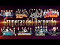 Grupo Bronco, Los Temerarios, Los Bukis, Los Acosta, Grupo Bryndis, Liberación, Los Rehenes, Guardia