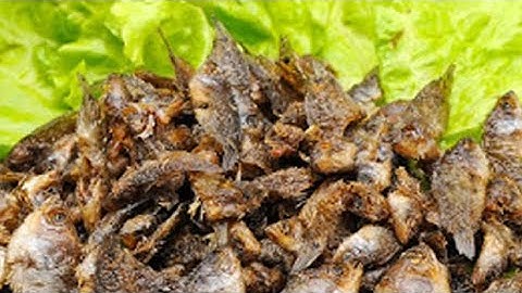 Ăn cơm trưa với cá rô phi chiên giòn ngon hết sảy