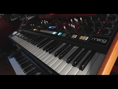 The Moog Muse sequencer with probability is amazing and so powerful!