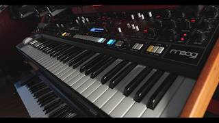The Moog Muse sequencer with probability is amazing and so powerful!