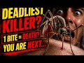 The Tiny Killer That Kills Millions 🦟