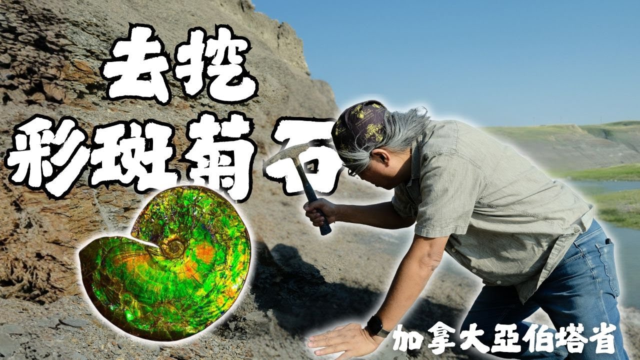 化石產地Vlog-帶你去挖價值百萬元的彩斑菊石!
