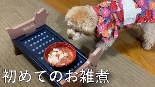 マルプーのお雑煮体験/New Year dish(Japnese culture on January)
