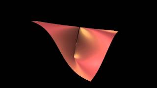 Counterexamples in Analysis 1:  Gelbaum & Olmsted chapter 9 number 1