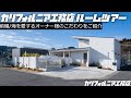 【ルームツアー前編】カリフォルニア工務店のニューハウスデザイン｜外が全く見えないドッグラン｜トレンドは東向き｜他のお客様と設計の進め方が特殊だった理由｜