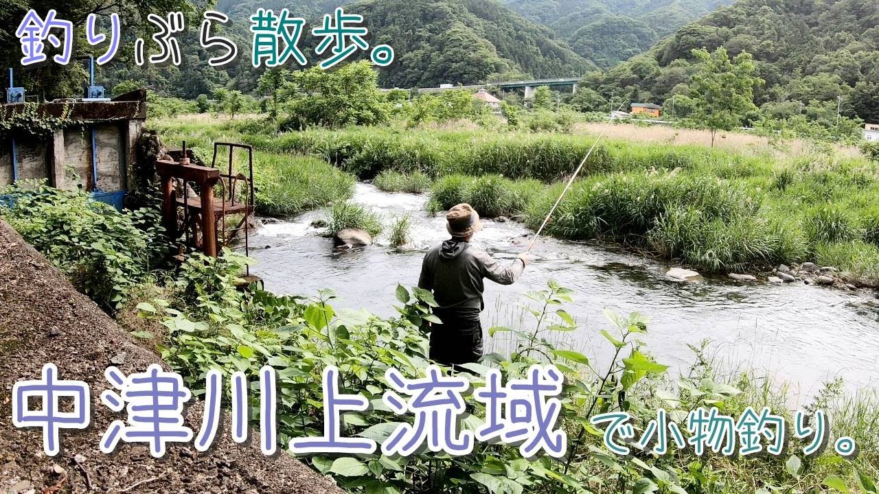 【小物釣り】ジブリの世界！愛甲郡中津川上流で小物釣り。【淡水】
