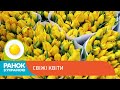 Як зберегти свіжим букет квітів | Ранок з Україною