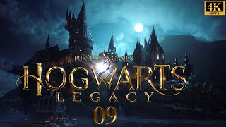 Hogwarts Legacy Gameplay Deutsch 09 - Geheime und versteckte Räume in Hogwarts