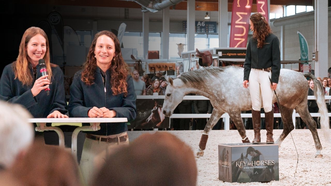 Unser ERSTER MESSESTAND bei der Pferd Bodensee  | Teil 1