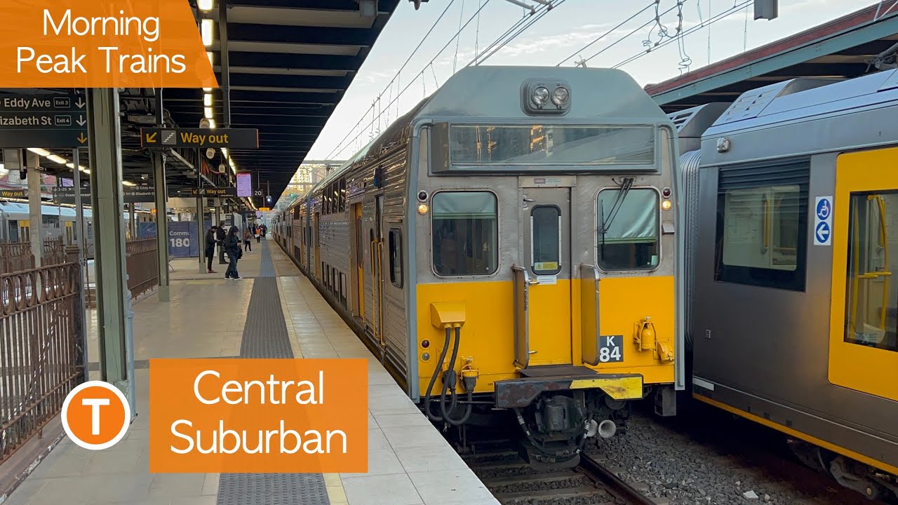 Transport for Sydney Vlog 464: Central Suburban Part 3 - Morning Peak Trains