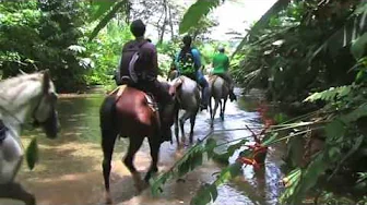 Esquinas Lodge, Costa Rica: Quebrada Chorro Tour