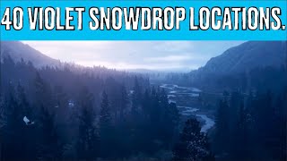 Red Dead Redemption II. 40 Violet Snowdrop Locations.