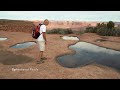 Fairy Shrimp in Canyonlands Ephemeral Pool ~ Macro Footage Highlights