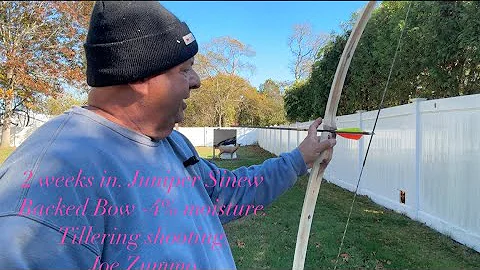 2 weeks in. Juniper Sinew Backed Bow  Knox Gelatin -4% moisture. Tillering shooting. Joe Zummo