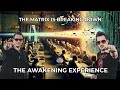 The awakening experience wrich lopp  the leo king the matrix is malfunctioning and shattering