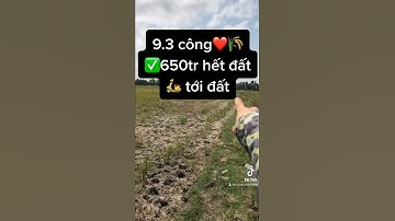 Đất ruộng giá rẻ 65tr 1 công