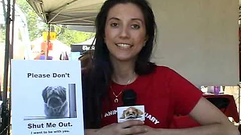 WorldFest 2009 - Rachel LeGros of the Abby Animal ...