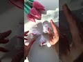 Spring! Felt hens🥚🐓🥚テトラ型にわとりが意外と可愛いのです❤️