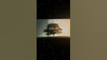 سورة آل عمران|16-17|القارئ:#محمد_اللحيدان #قران #quran#قران_كريم #تلاوة#تلاوة_هادئة #آية#تلاوة_خاشعة